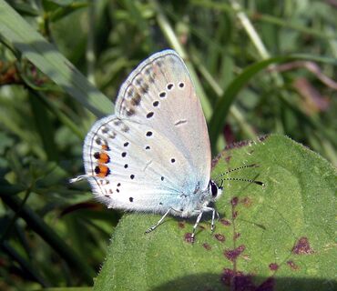 Haus der Natur