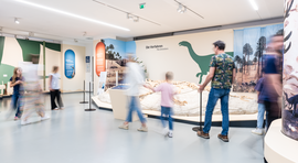 Haus der Natur