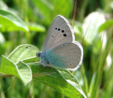 Haus der Natur