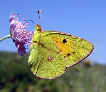 Haus der Natur