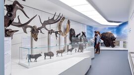 Haus der Natur
