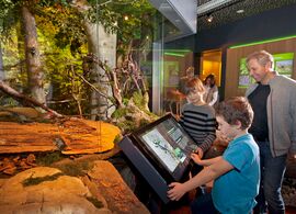 Haus der Natur