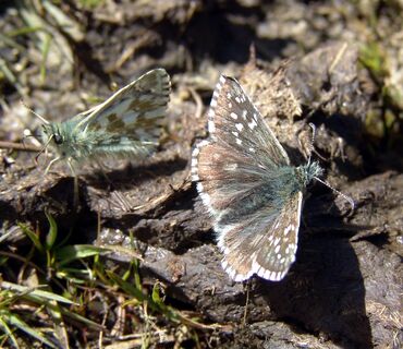 Haus der Natur