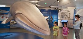 Haus der Natur