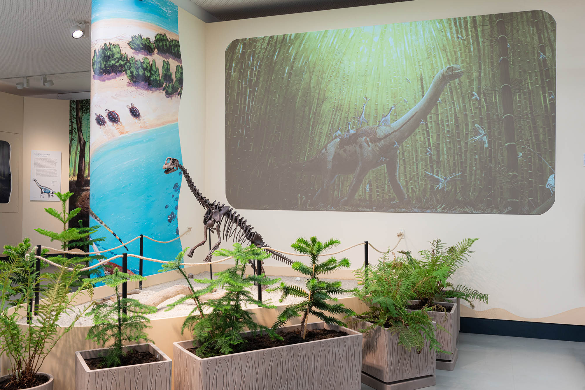 Austtellungsansicht der Sonderschau "Europasaurus - Inselwelt der Zwergdinos" mit Skelett des Baby-Eruopasaurus